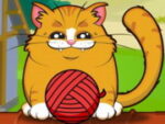 Oyuncu kedi